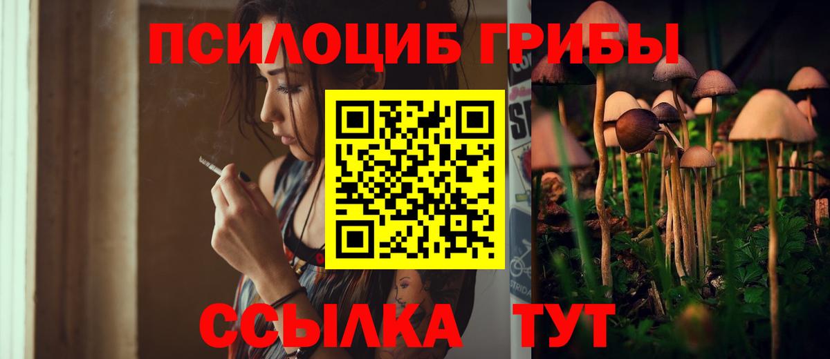 Псилоцибиновые грибы Magic Shrooms Великий Новгород